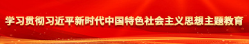 免费操逼电影网站学习贯彻习近平新时代中国特色社会主义思想主题教育